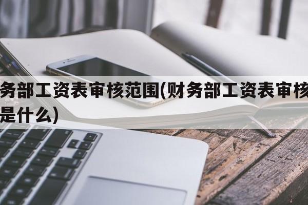 财务部工资表审核范围(财务部工资表审核范围是什么)