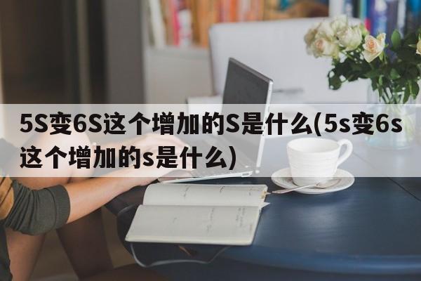 5S变6S这个增加的S是什么(5s变6s这个增加的s是什么)