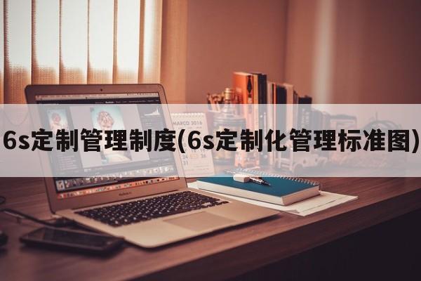 6s定制管理制度(6s定制化管理标准图)